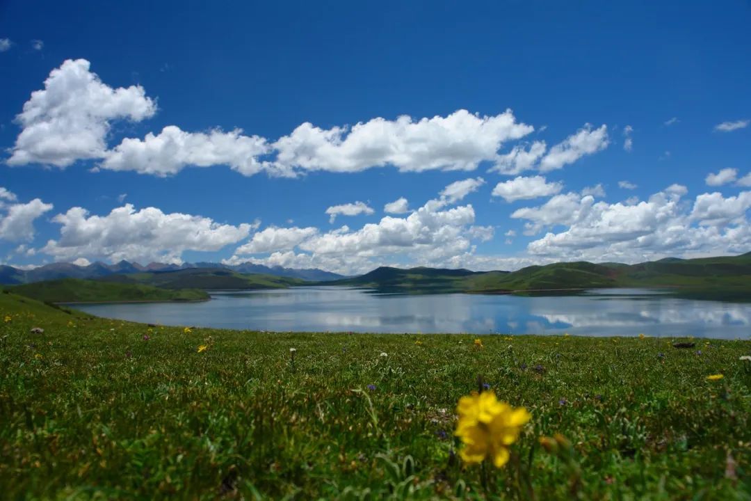 芒康县美景图片